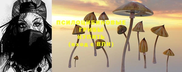 СК Белокуриха