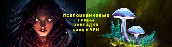 СК Белокуриха