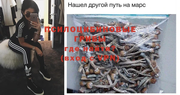 СК Белокуриха