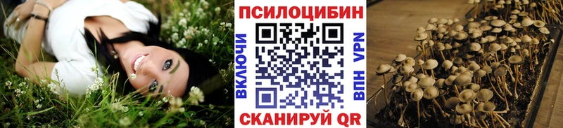 Галлюциногенные грибы Cubensis  наркошоп  Первомайск 